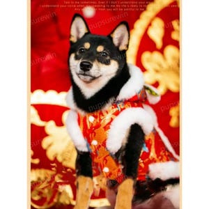 Custom New Year Dog Clothes Dancing Tiger Costume, Chinese Spring Festival Outfit Red Hoodie Coat for Large Dogs and Cats, Warm Pets Clothes