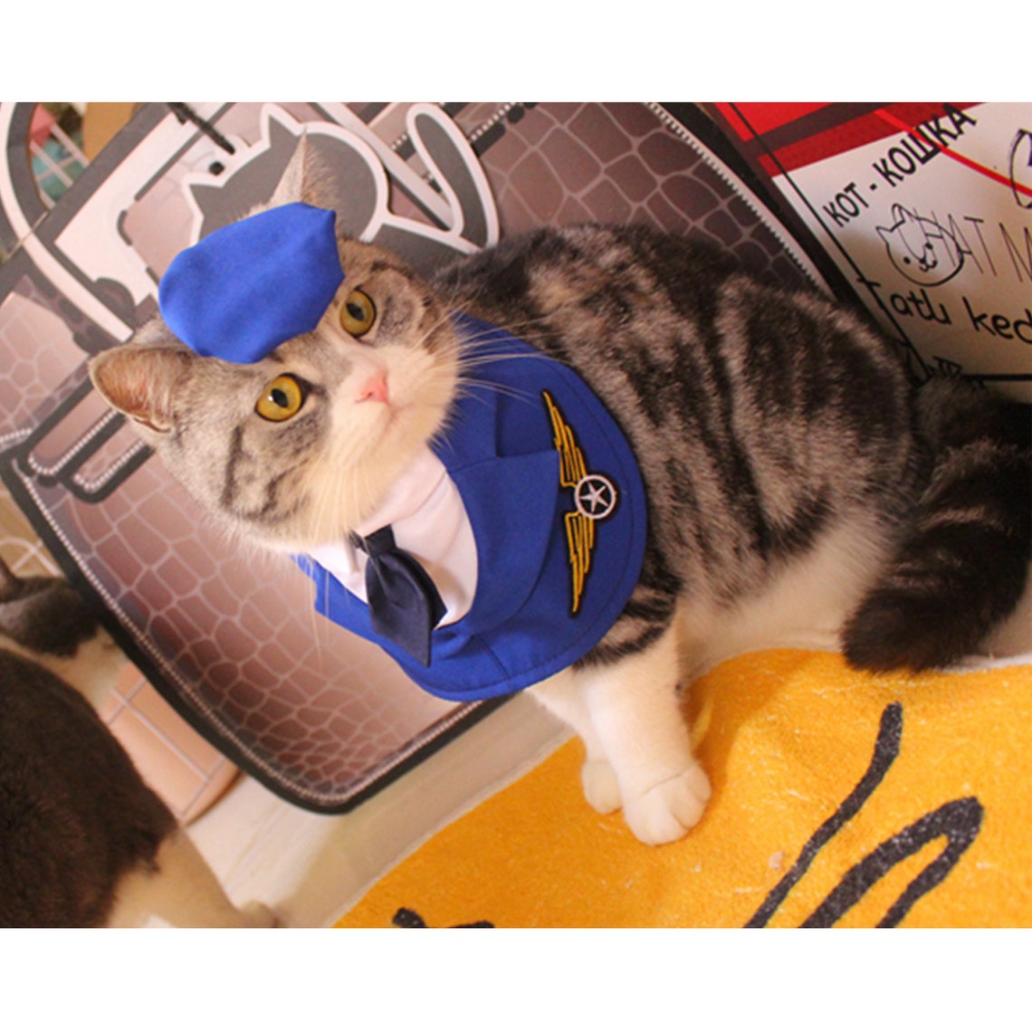 Dog Pilot Costume Halloween Cat Air Force Bandana Pet Airman Etsy