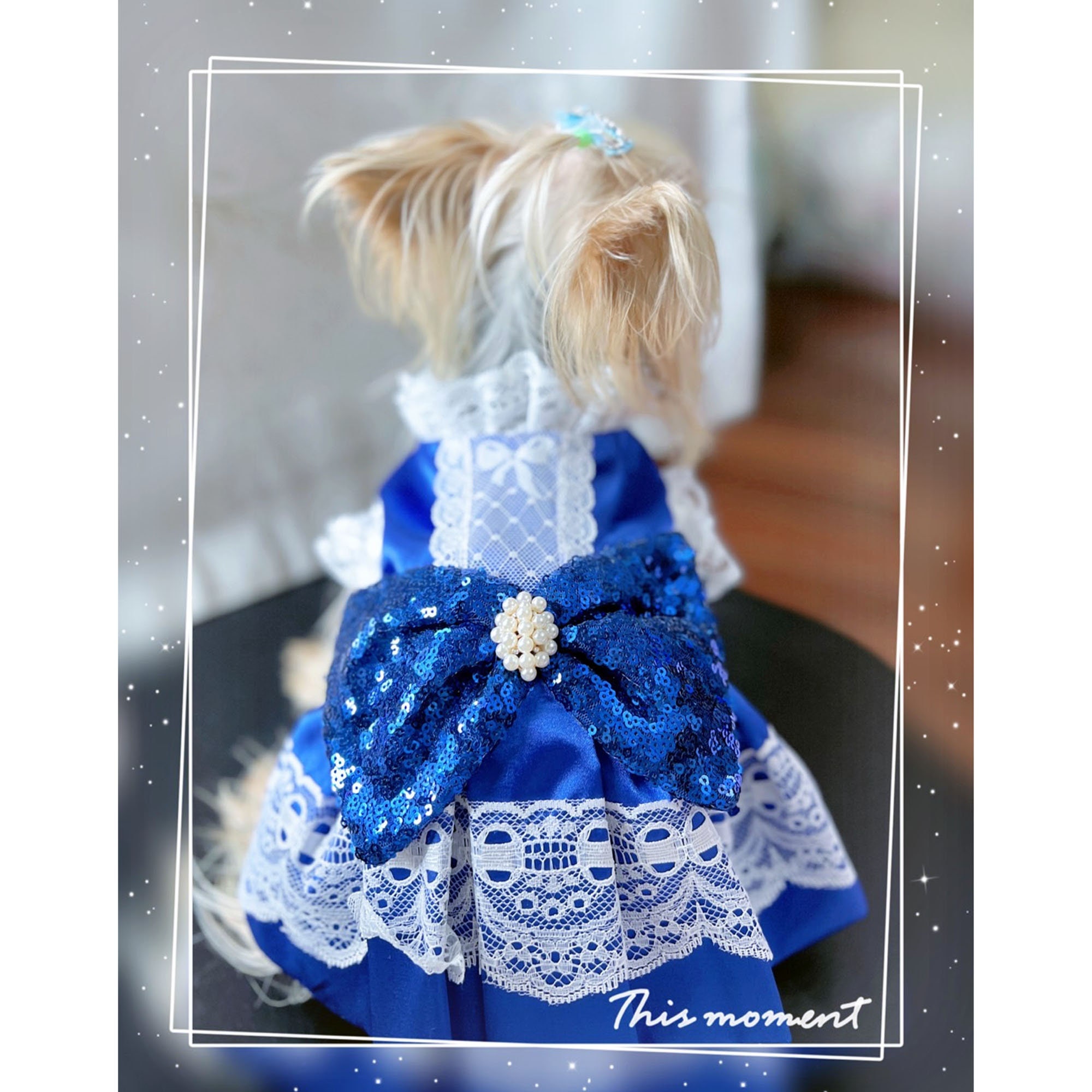 Royal blue dog clearance dress