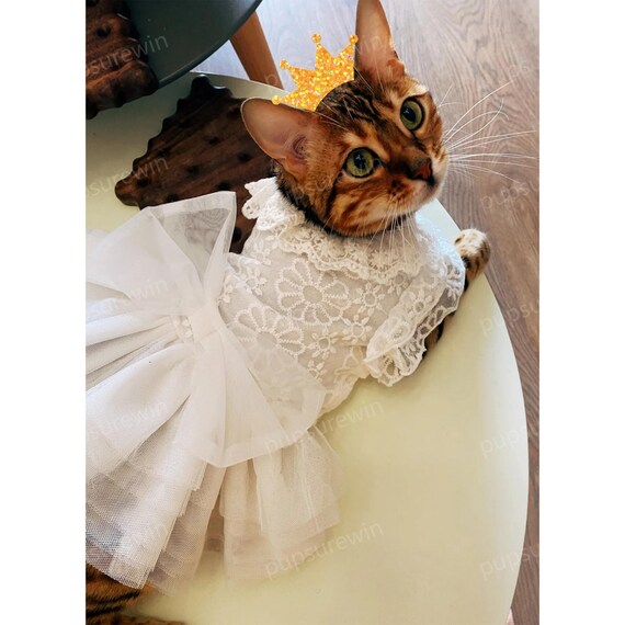 Cat Wedding Dress White, Cat Bride Bridesmaid Costume, Cat