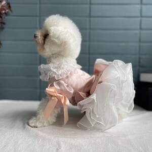 Cat Dog Tutu Dress, Dog Wedding Dress, Dog Birthday Outfit, Dog Princess Costume, Summer Dog Party Gown, Kitten Puppy Cat Dog Pet Clothes