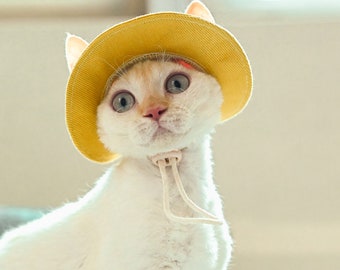 Bob pour chat avec trous pour les oreilles Sphynx, chapeau d'été pour chat, t-shirt pour chat nu Devon Rex, bonnet de protection solaire pour chat, casquette de protection solaire pour animal de compagnie