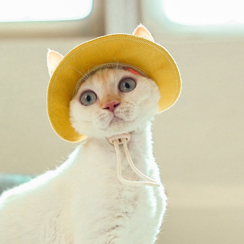 Cappello a secchiello per gatti Sphynx con fori per le orecchie, cappello estivo per gatto, topee per gatti senza peli Devon Rex, cappello con visiera Sunbonnet per gatti, berretto di protezione solare cappello per animali domestici Yellow