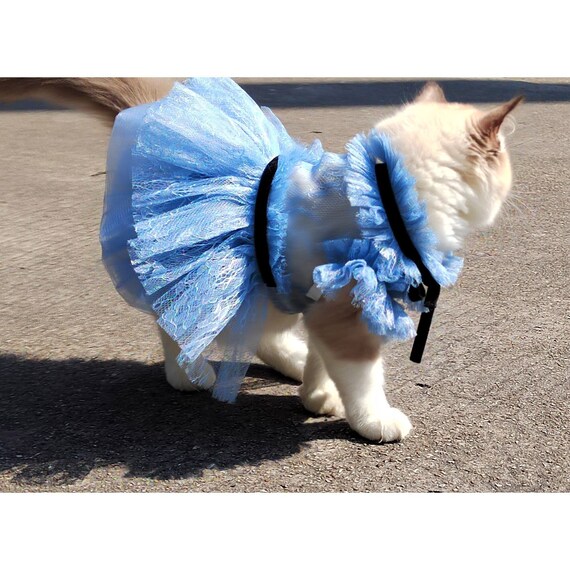 Summer Cat Tutu Dress Blue Flower Embroidered Fancy Dress for Cat Cat Wedding Dress Birthday Quinceanera Outfit Pet Clothes Customized Etsy