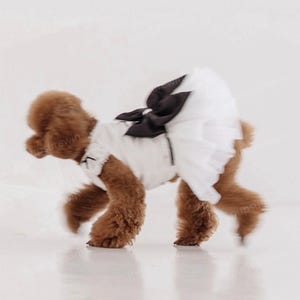 ヘップバーンからインスピレーションを得たカスタム犬用ウェディングドレス、大型犬と猫用のフランシュパリジャンブラックホワイトサテンドレス、ヴィンテージペット服