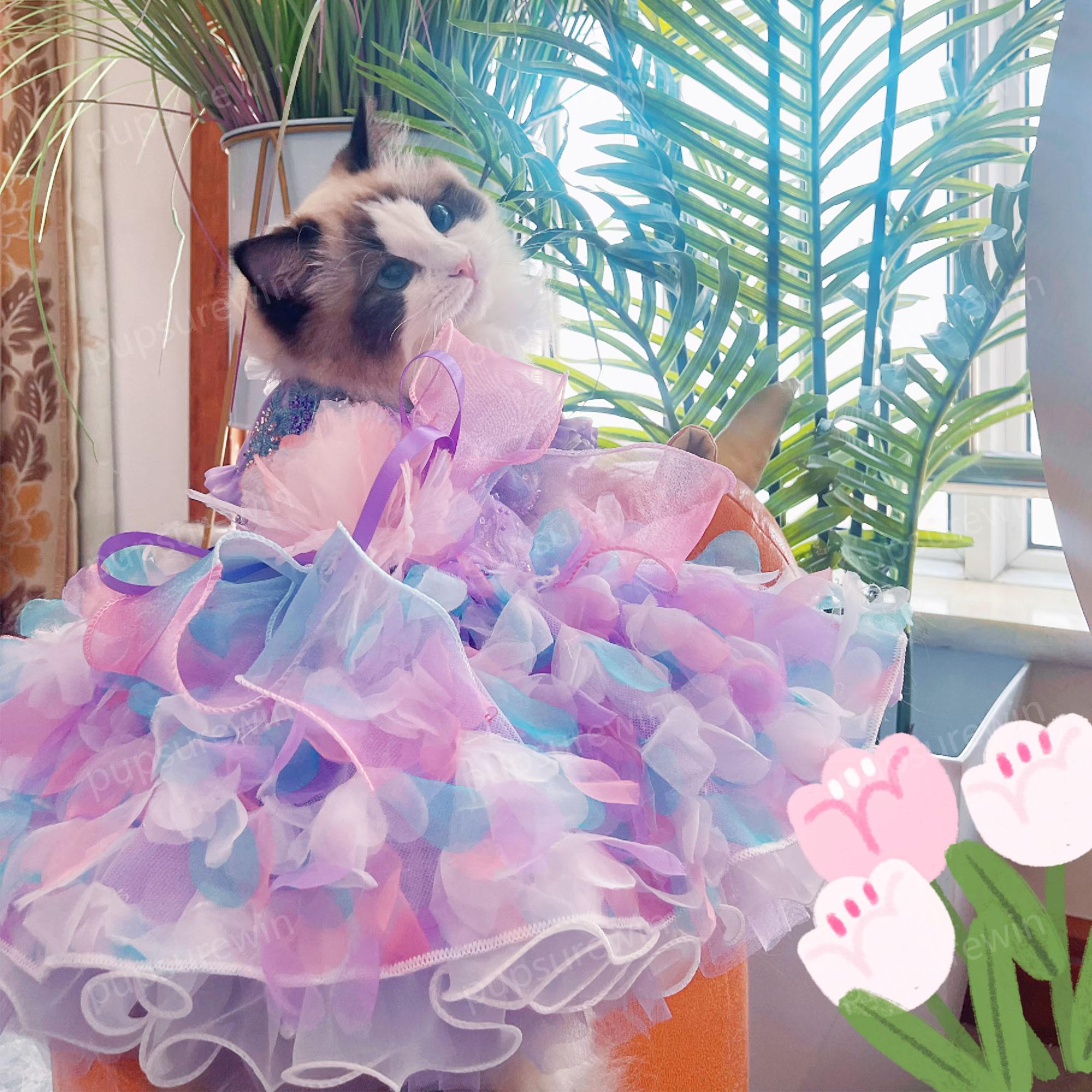 bridesmaid dresses for cats Amazon.com : GANAZONO Cat Wedding Supplies Lace Cat Wedding Dress  Bridesmaid Dress Comfortable Fit : Pet Supplies