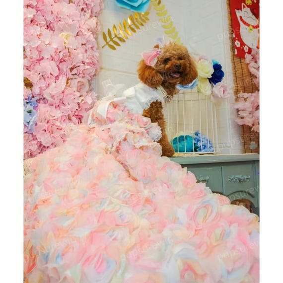 thumbnail image 2 of Frienda Cat And Dog Princess Floral Dress Set With Headband, Red And Yellow Floral Dress (M) - Spring/Summer Holiday Fashion 2 of 10