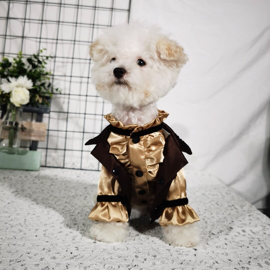 Dog Wedding Attire Dog Formal Suit Brown Jacket and Golden Shirt, Cat