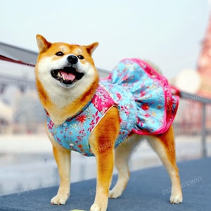 dog new years dress New Years Dog Dress