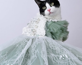 Cat prom dress hotsell