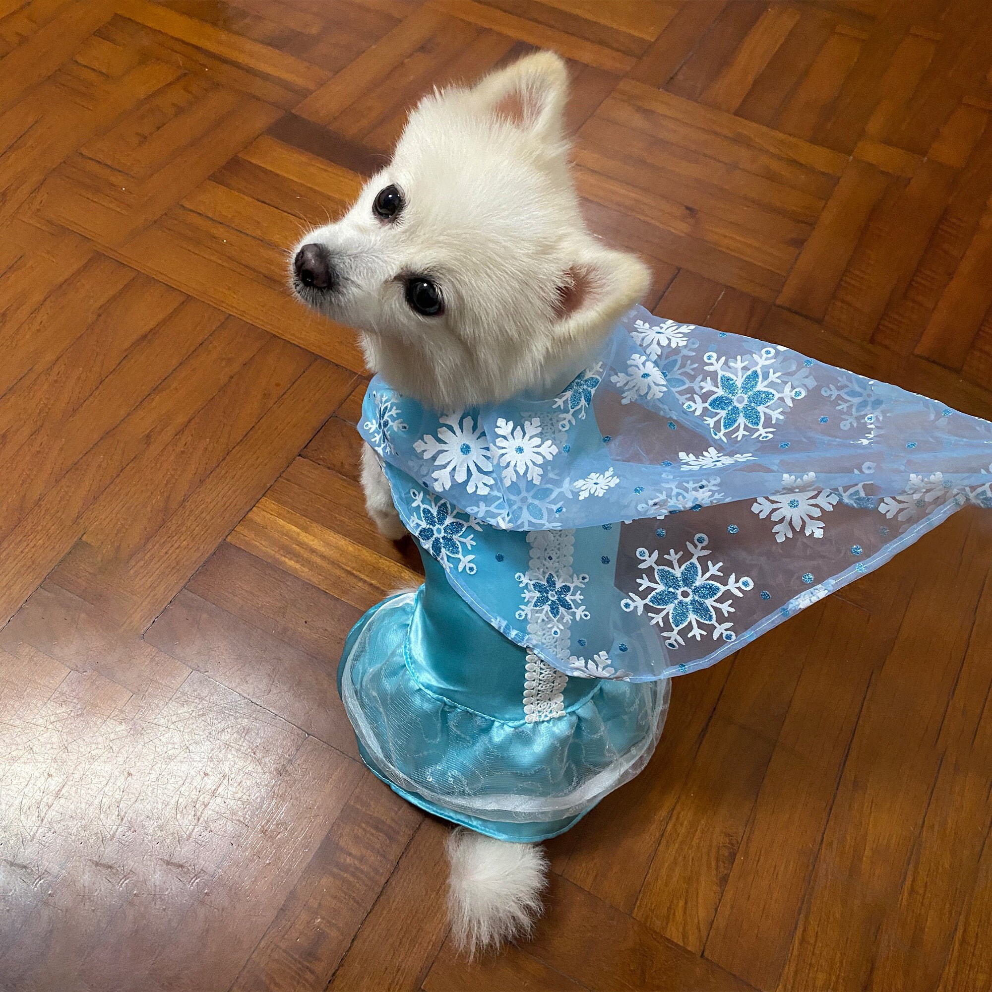 dog frozen costume