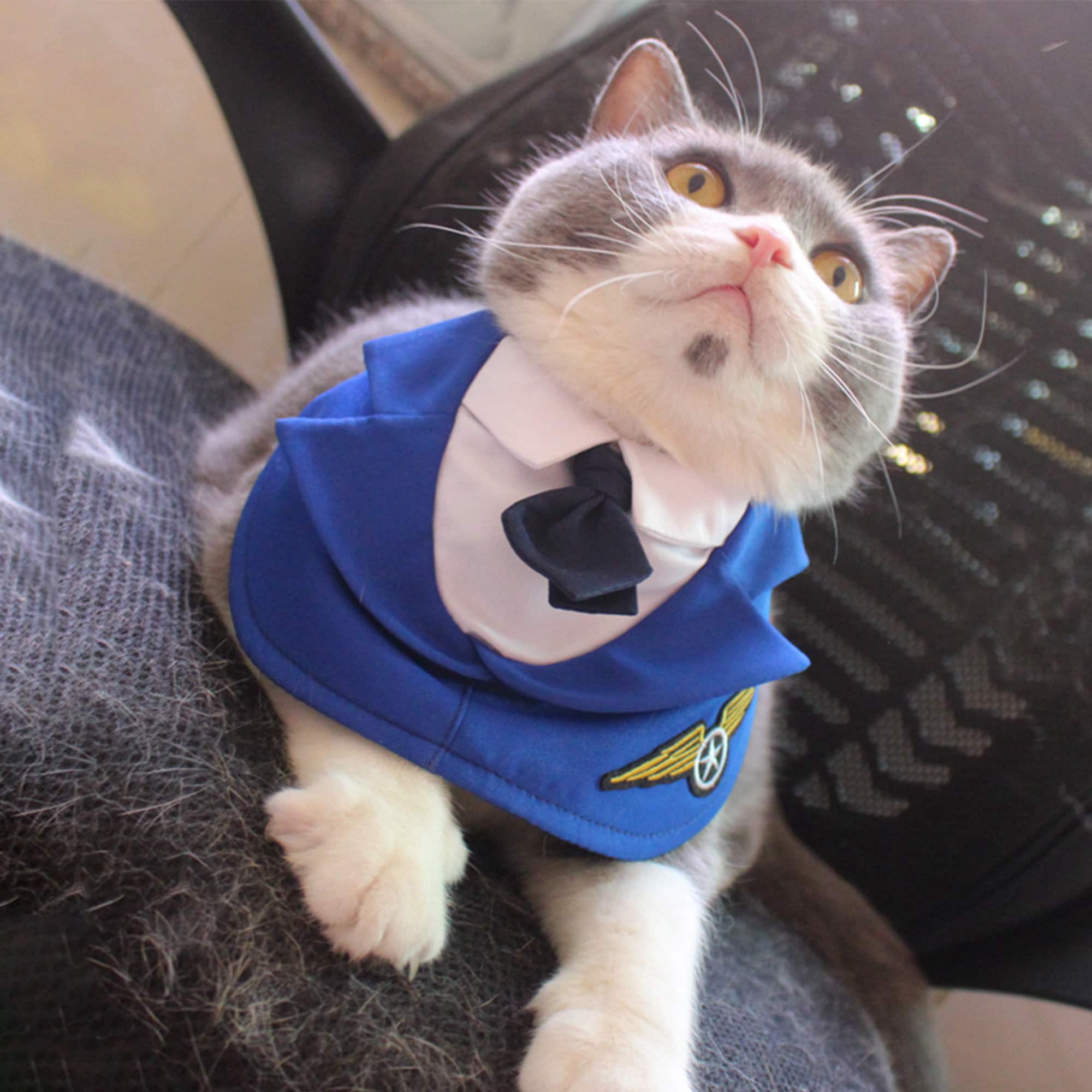 Dog Pilot Costume Halloween Cat Air Force Bandana Pet Airman Etsy