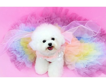 May include: A small white dog wearing a rainbow tulle dress with a white tulle veil. The dog is sitting on a pink background.