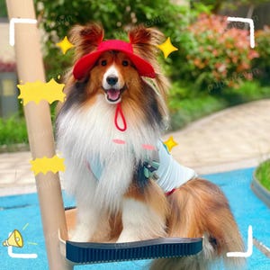 Large Dog Bucket Hat with Ear Holes, Summer Bucket Hat for Big Dogs, Outdoor Sun Protection Cap Dog Sunbonnet, Travel Hiking Hat for Pets