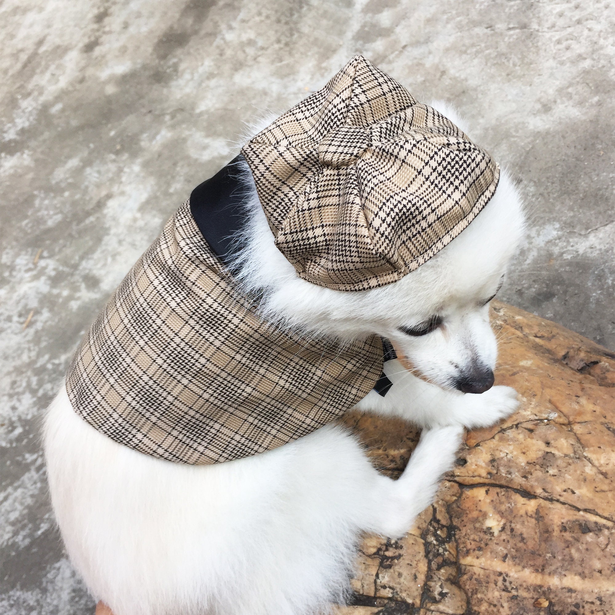 Dog Detective Costume Halloween Sherlock Holmes Outfit Dog Cat Etsy