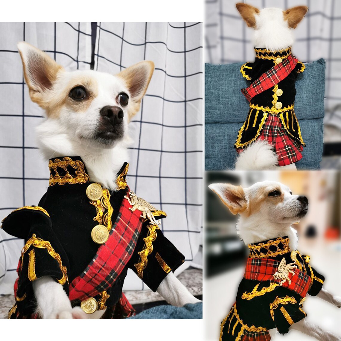 Scottish Uniform Dog Cat Costume Wedding Attire Formal Suit Etsy