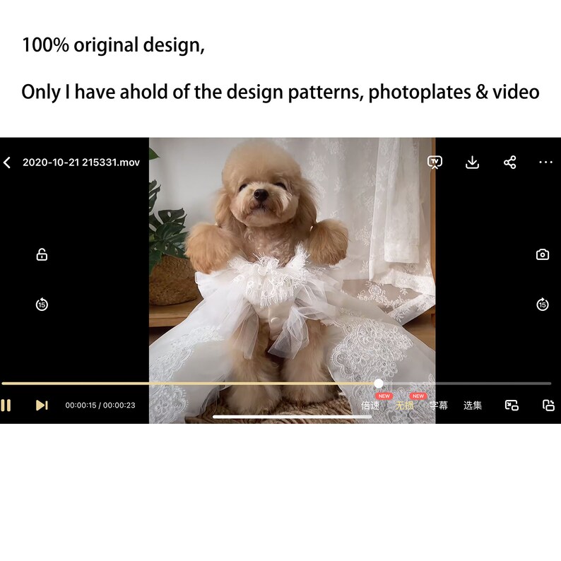Wedding Dog Gown WITH Attachable Train
