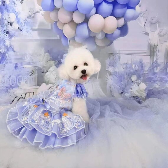 Cinderella dog costume sales