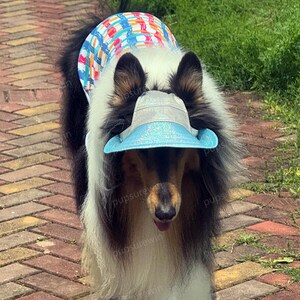 Può includere: Un cane a pelo lungo indossa una visiera azzurra glitterata e una maglietta senza maniche con un motivo a quadri colorato composto da linee rosse, arancioni, gialle e blu. Il cane ha un folto pelo nero, bianco e marrone e guarda avanti.