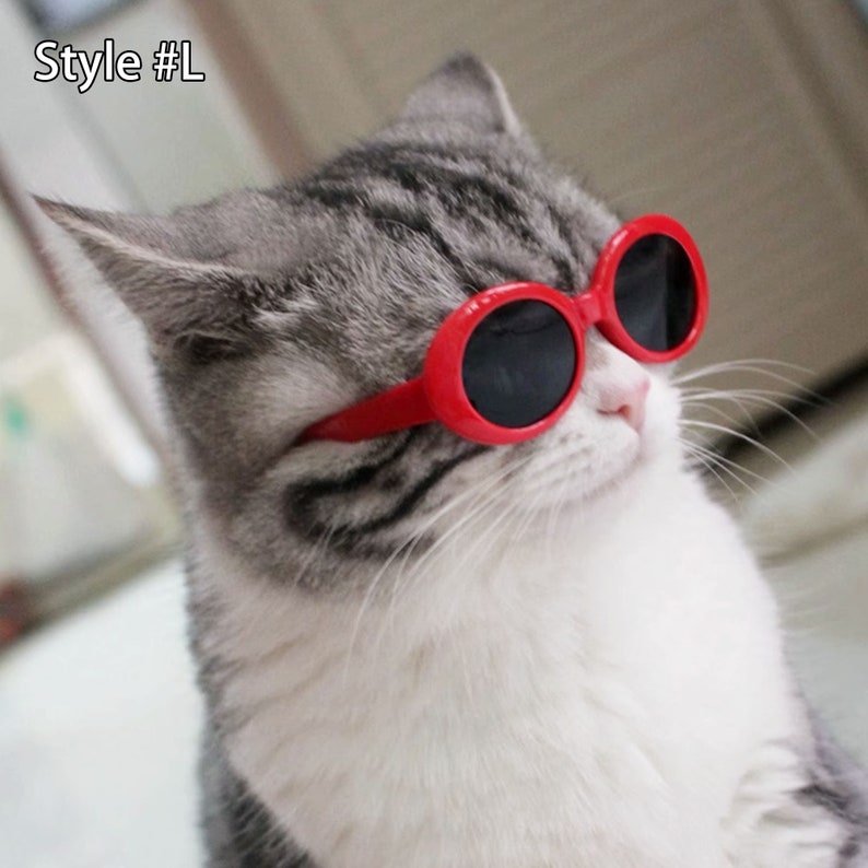 Lunettes de soleil d'été pour chat, accessoires de costume de petit chat, lunettes de soleil élégantes de chat accessoire de photo d'animal de compagnie, lunettes d'animal de compagnie de chien de chat de chaton, cadeau d'amant d'animal familier image 4