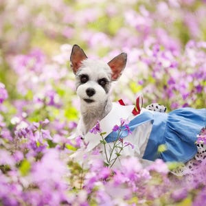 Halloween Dog Rodeo Costume Western Cowboy Cowgirl Outfit Dog Cowboy Hat + Rodeo Girl Dress, Pets Clothes Custom Size, Halloween Dress Up