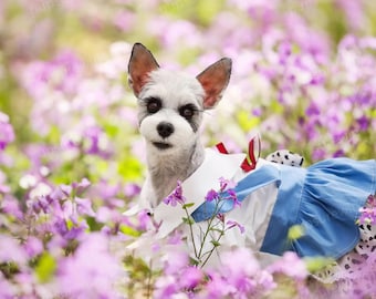 Halloween Dog Rodeo Costume Western Cowboy Cowgirl Outfit Dog Cowboy Hat + Rodeo Girl Dress, Pets Clothes Custom Size, Halloween Dress Up