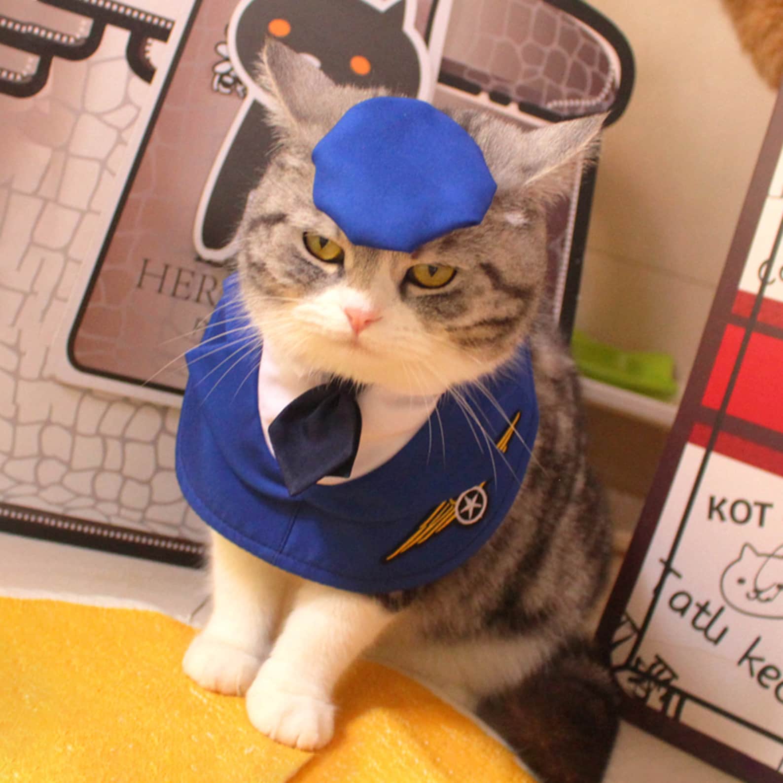 Dog Pilot Costume Halloween Cat Air Force Bandana Pet Airman Etsy