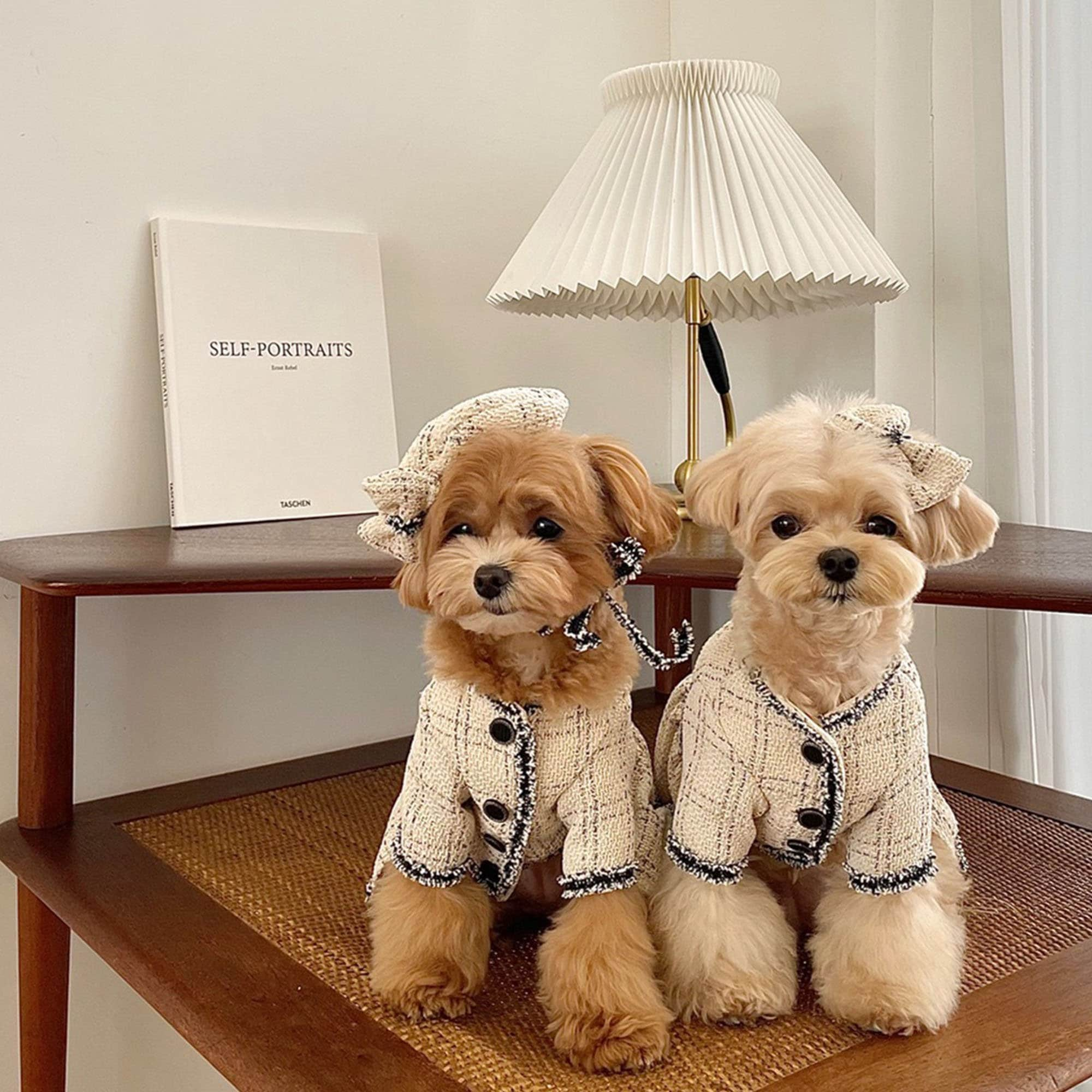 Abrigo para perro estilo marca Louis Vuitton – Ropita de Perro