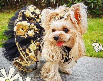 May include: A small dog wearing a black and gold embellished dress with a matching headband. The dress features a black tulle skirt and gold floral embroidery. The dog has long, light-colored fur and is standing on a stone surface.