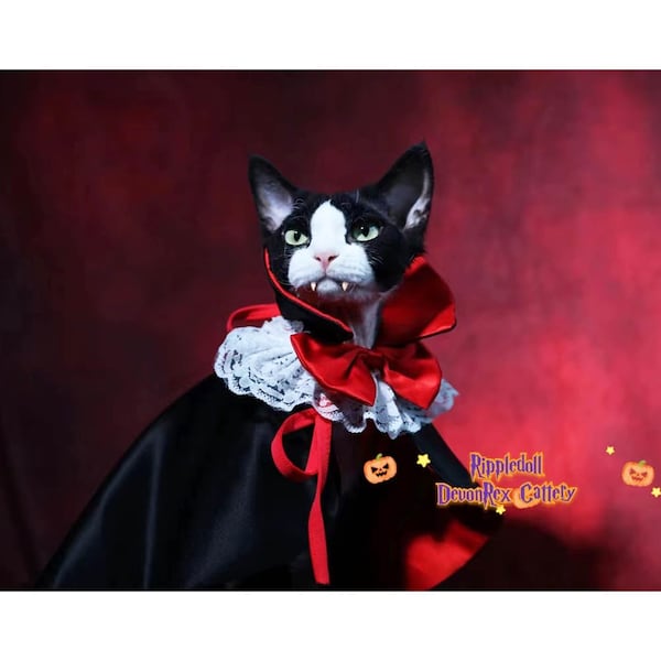 Cat Vampire Costume Halloween, Sphynx Cat Countess Dracula Costume, Hairless Cat Devon Cat Cosplay Party Outfit, Pet Vampire Cape Custom