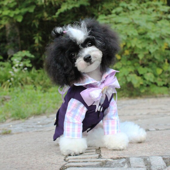 Boy Dog Wedding Suit Pet Bridegroom Costume Puppy Doggy Cat Etsy
