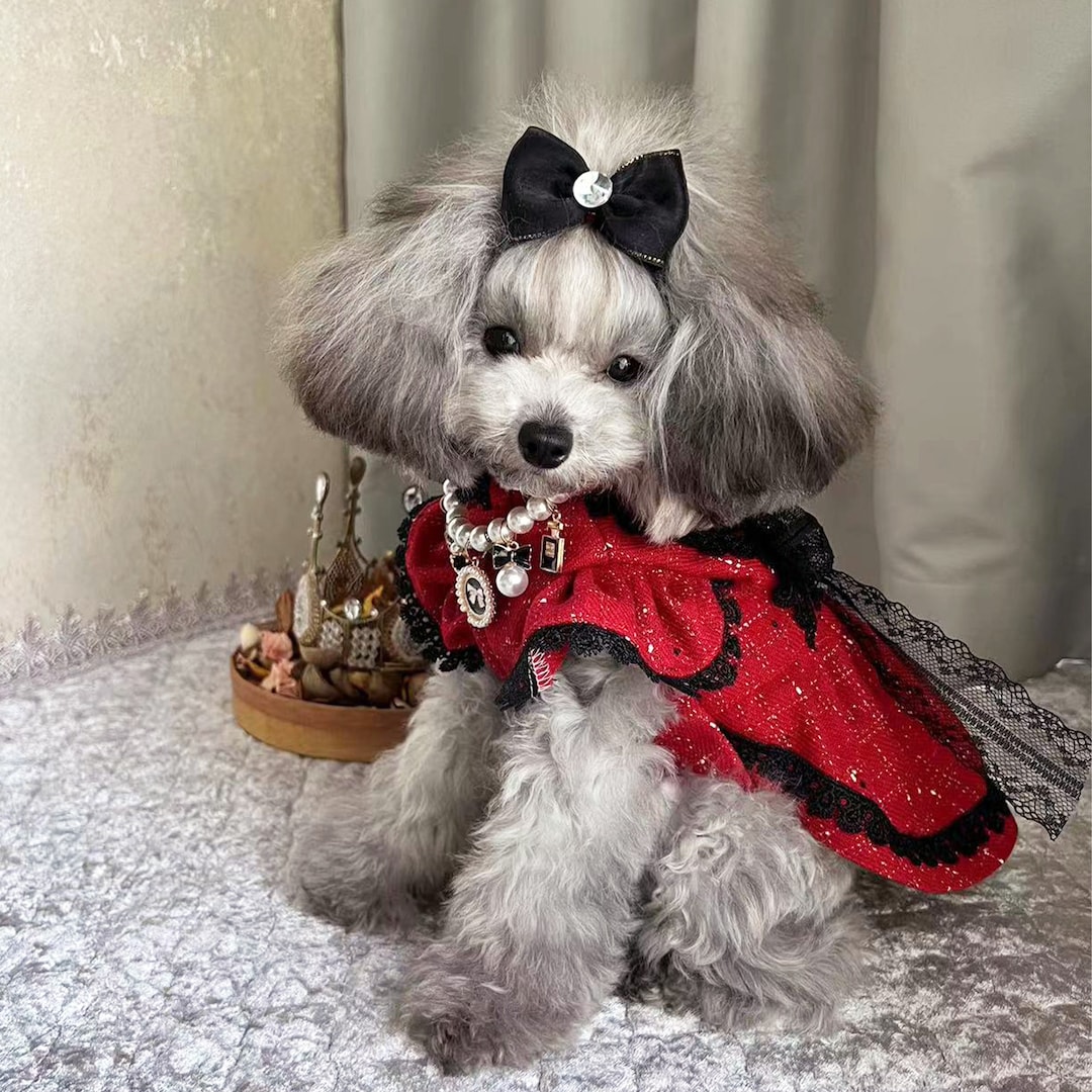 Red Tweed Dog Dress 1960s Vintage Coco Princess Costume for Etsy