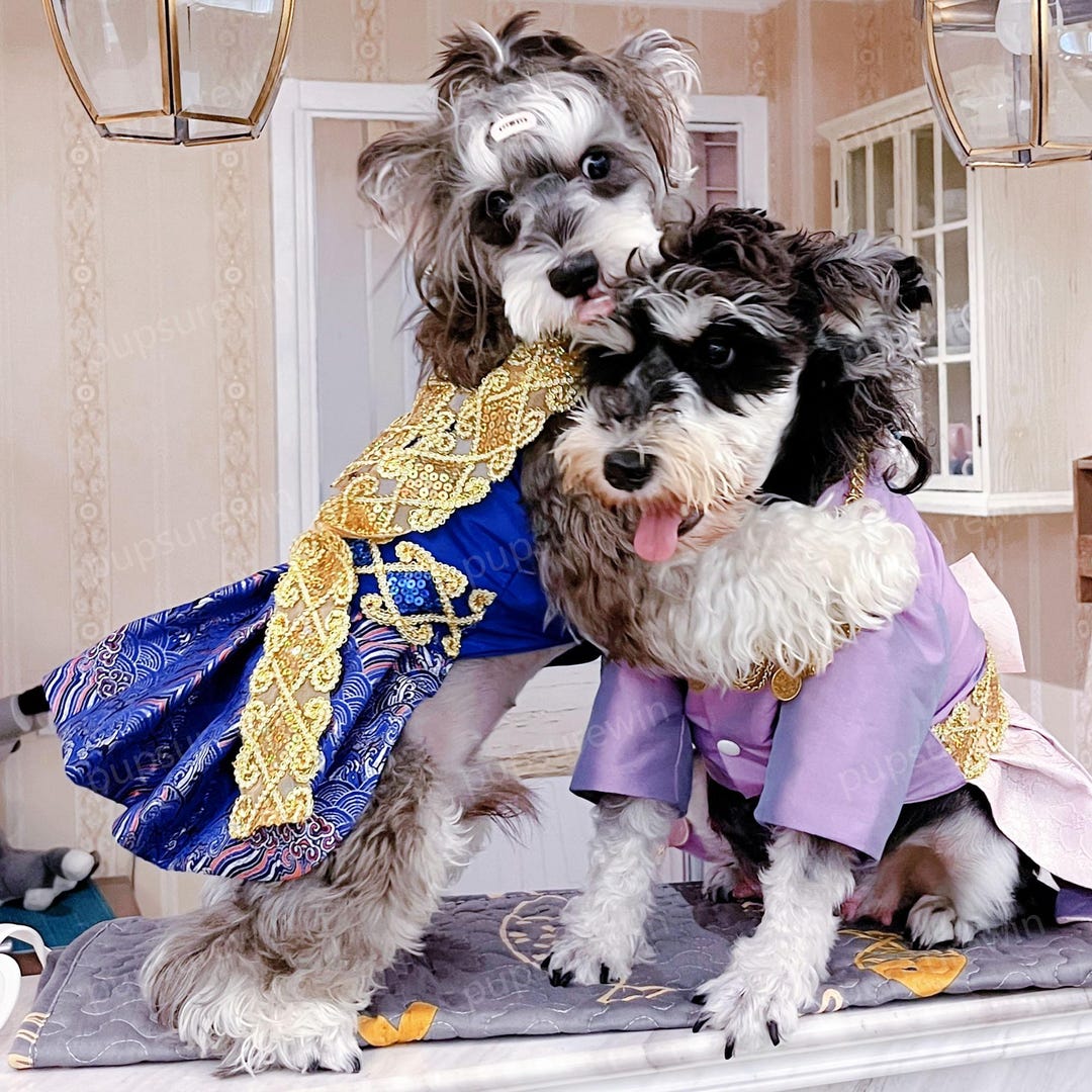 Thai Traditional Clothes Thai Wedding Dog Dress, Thai Costume