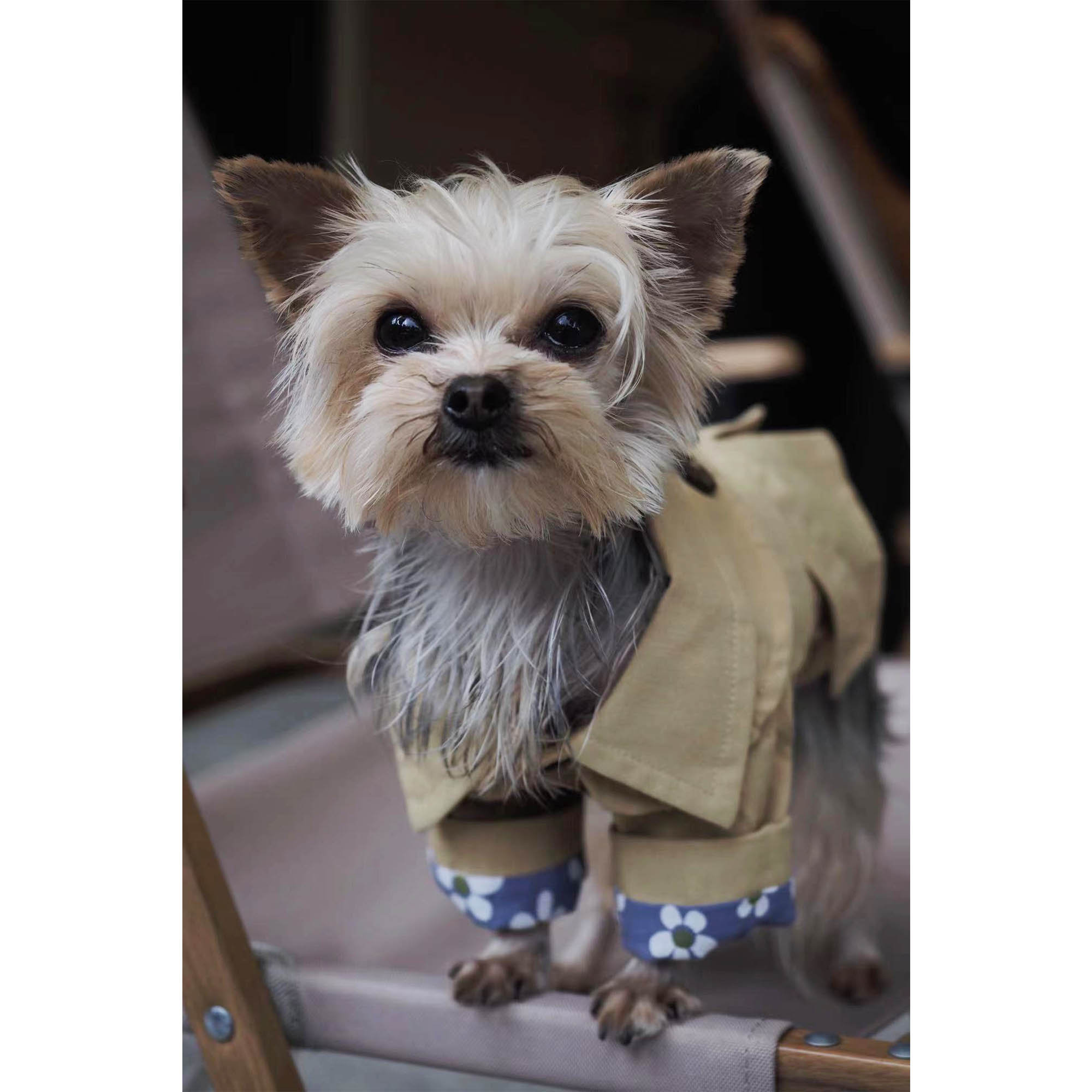Dog Trench Coat Vintage Dog Jacket Cat Trench Coat Kitten Etsy