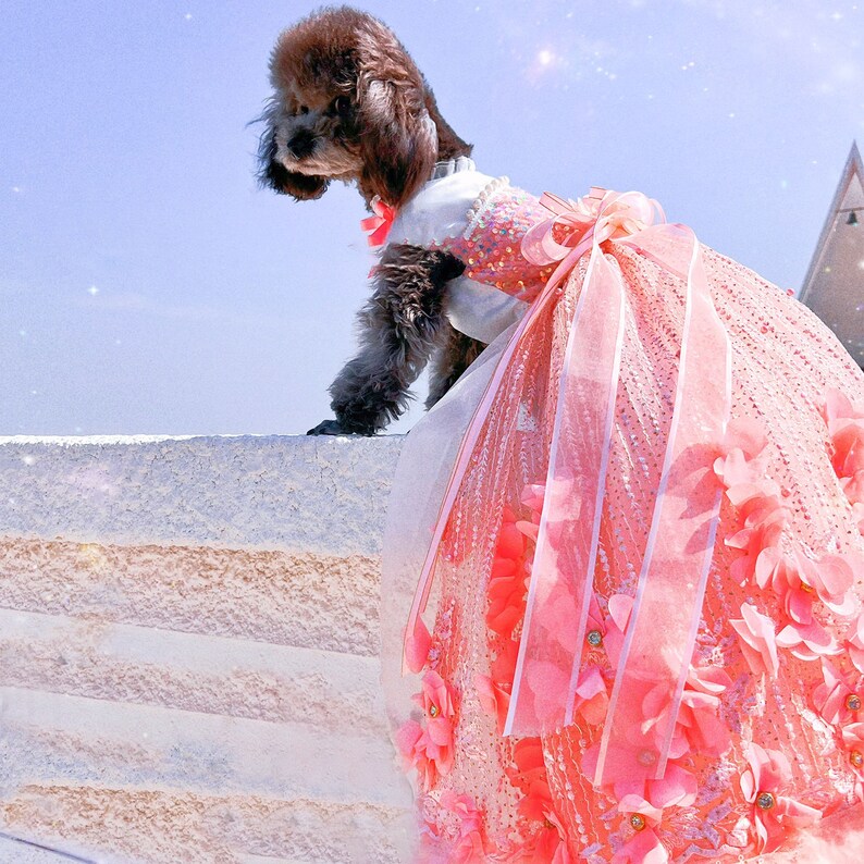 Dog 3D Flower Long Trailing Dress Pink Floral Feather Dress Etsy