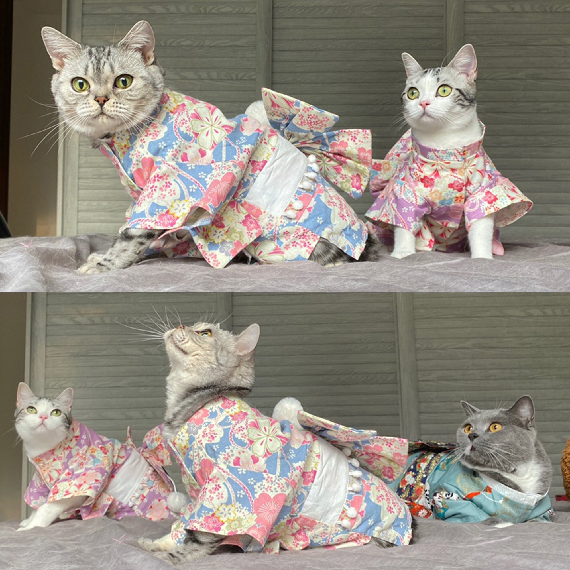 Cat chinese new year costume discount