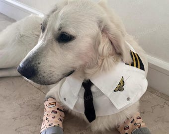 Heavy Duty Air Force Dog Bandana Dog Pilot Costume Halloween, Air