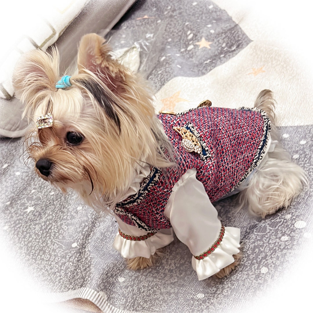 Burgundy Tweed Dog Jacket With White Shirt Vintage Royal Etsy