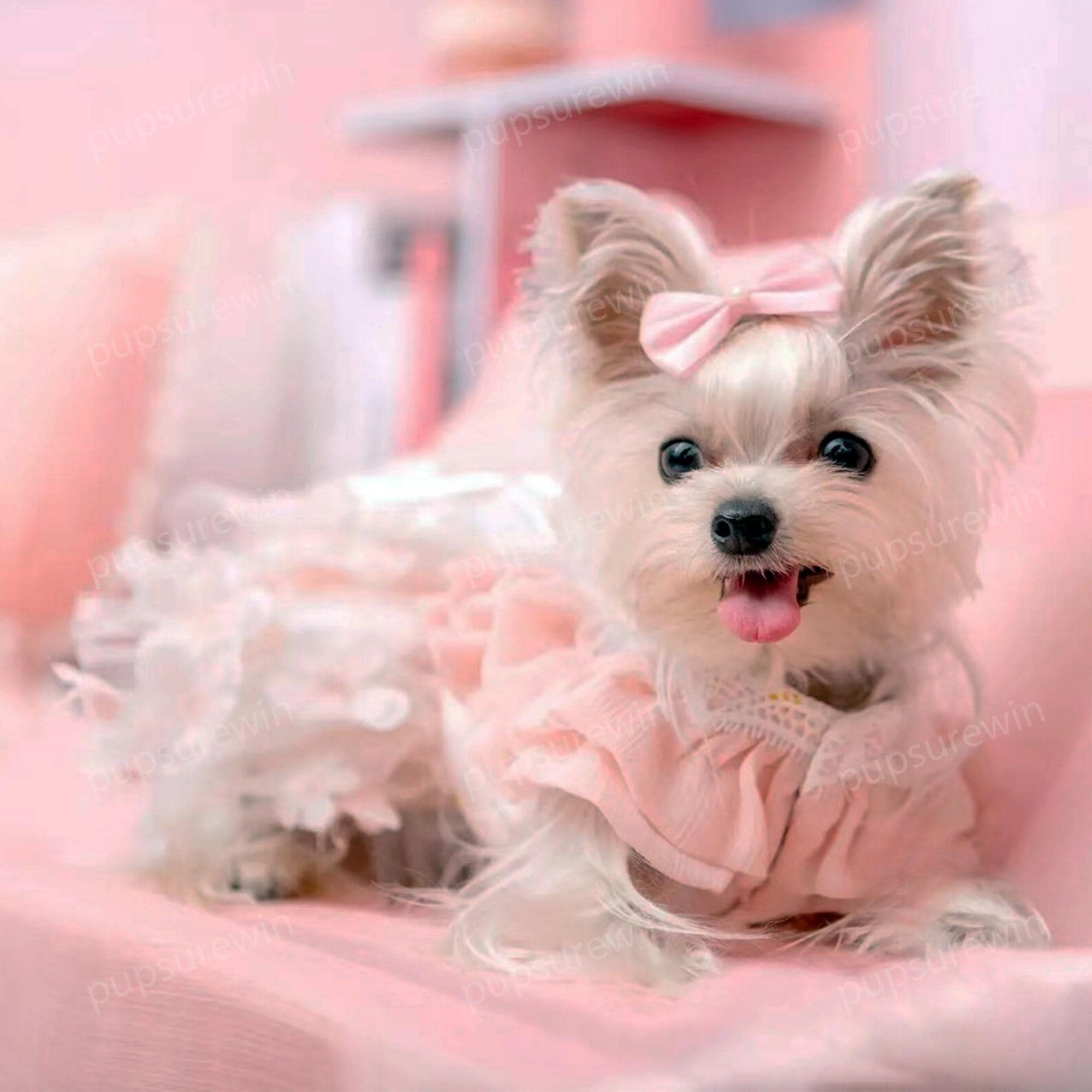 Custom Dog Wedding Dress, Peachy Pink Daisy Flower Tulle Dress for
