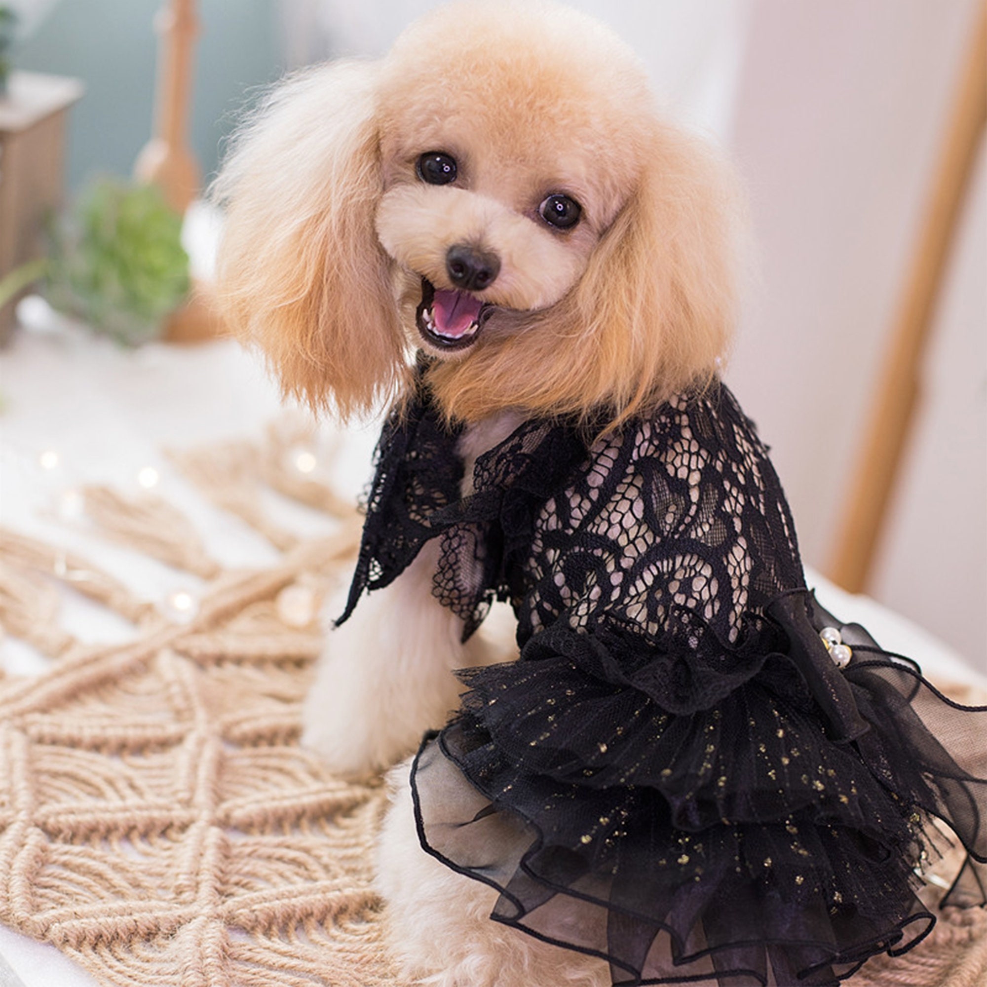 Dog Wedding Dress Bridesmaid Costume Birthday Holiday Party Etsy