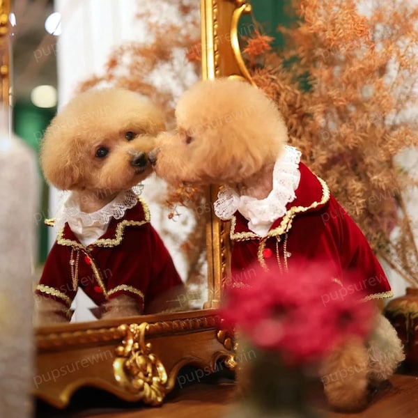 Costume da principe per cani personalizzato per feste di Halloween, smoking da matrimonio per cani, cappotto vintage Royal Court per cani di grossa taglia e gatti, vestiti per animali domestici, uniforme militare