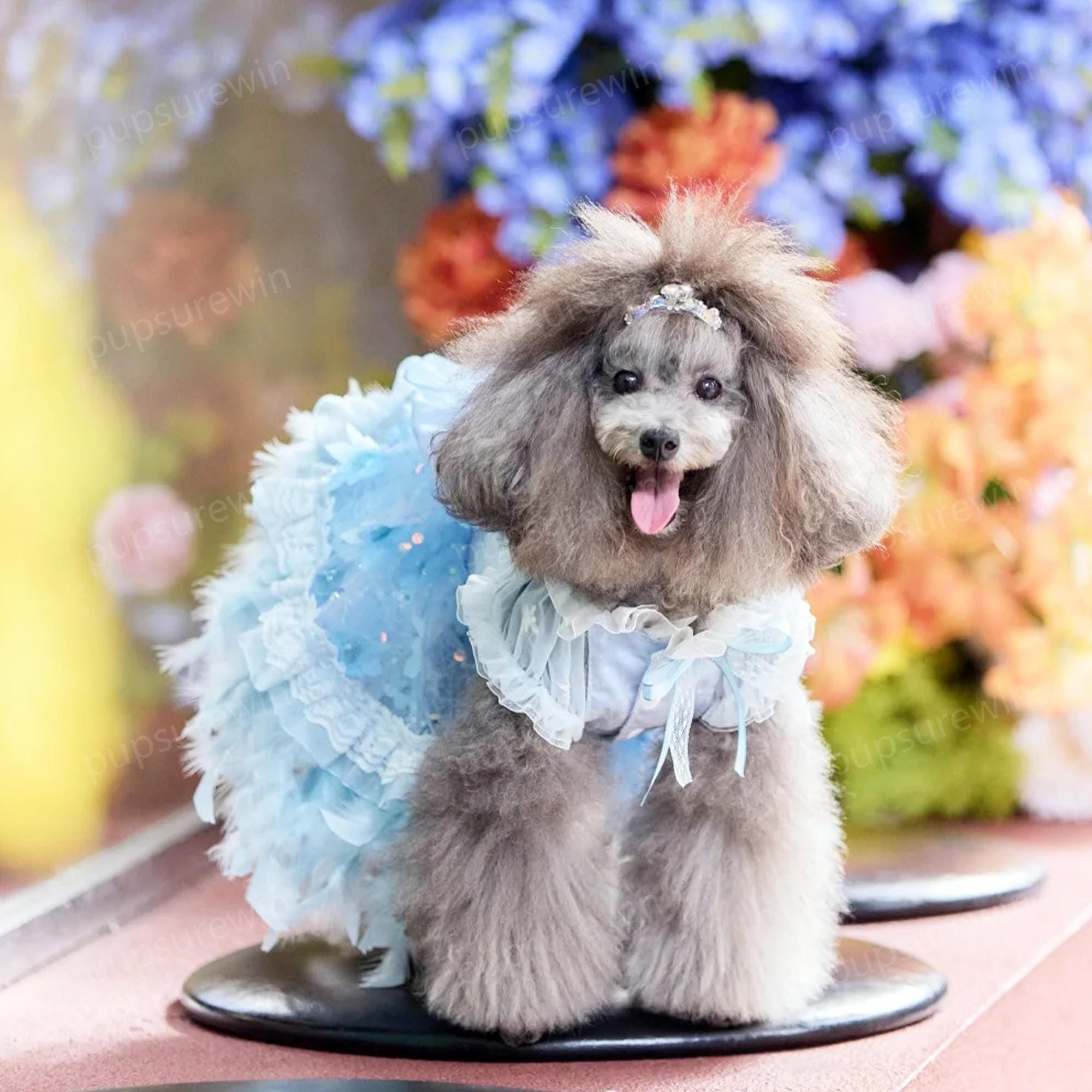 Blue Feather Floral Dress for Dogs and Cats, Custom Pets Clothes, Moon Goddess Peacock Princess Costume for Dogs Wedding Birthday Halloween
