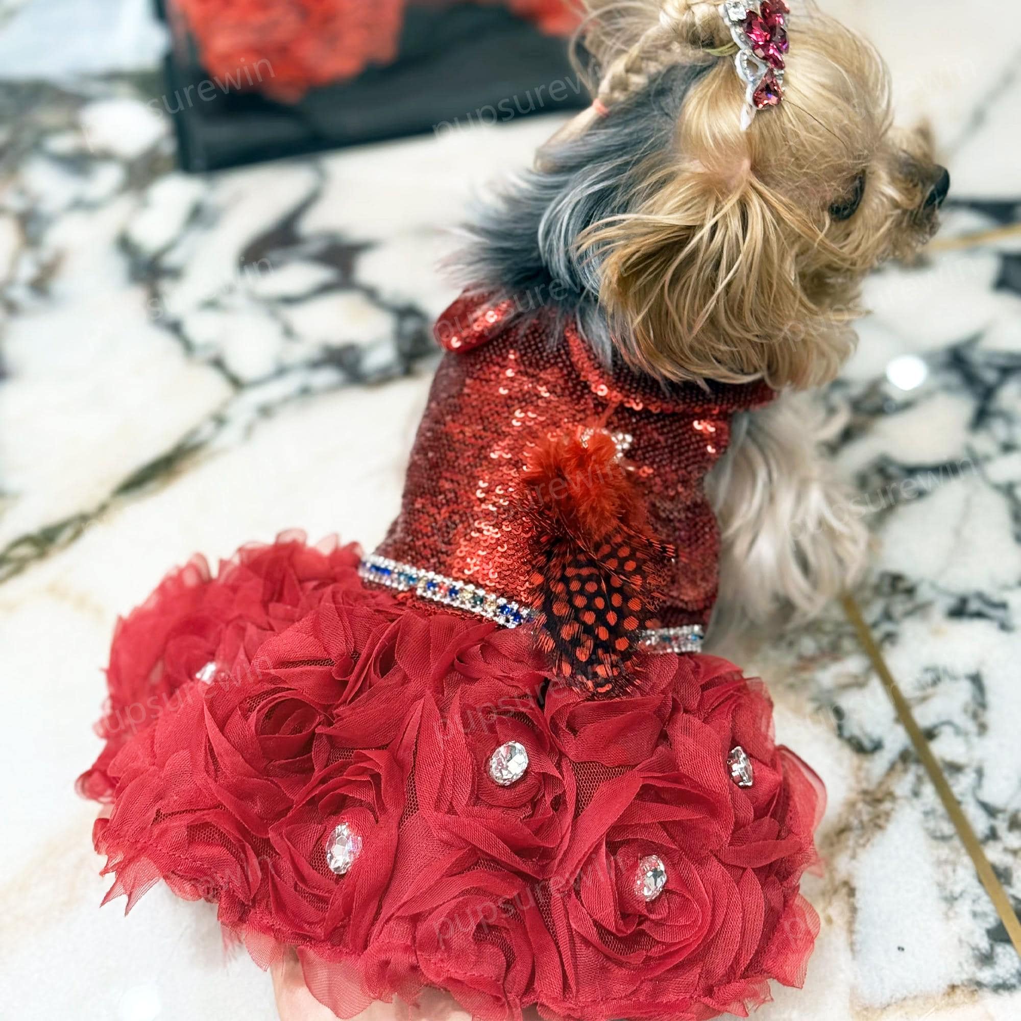 fitted lace wedding dress Quinceanera Dog Dress