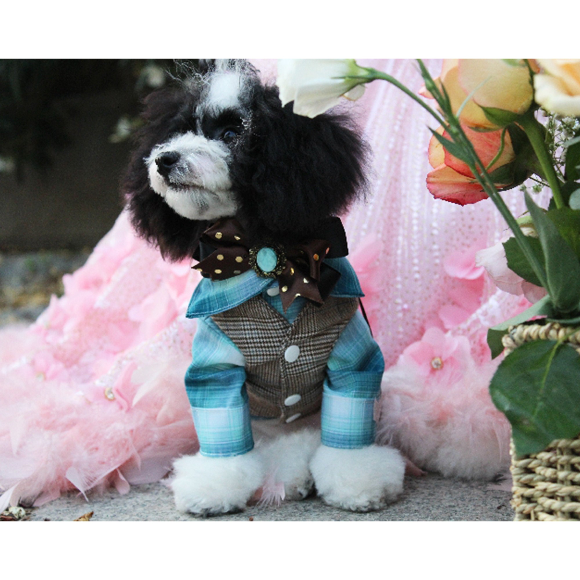 Boy Dog Wedding Suit Pet Bridegroom Costume Puppy Doggy Cat Etsy