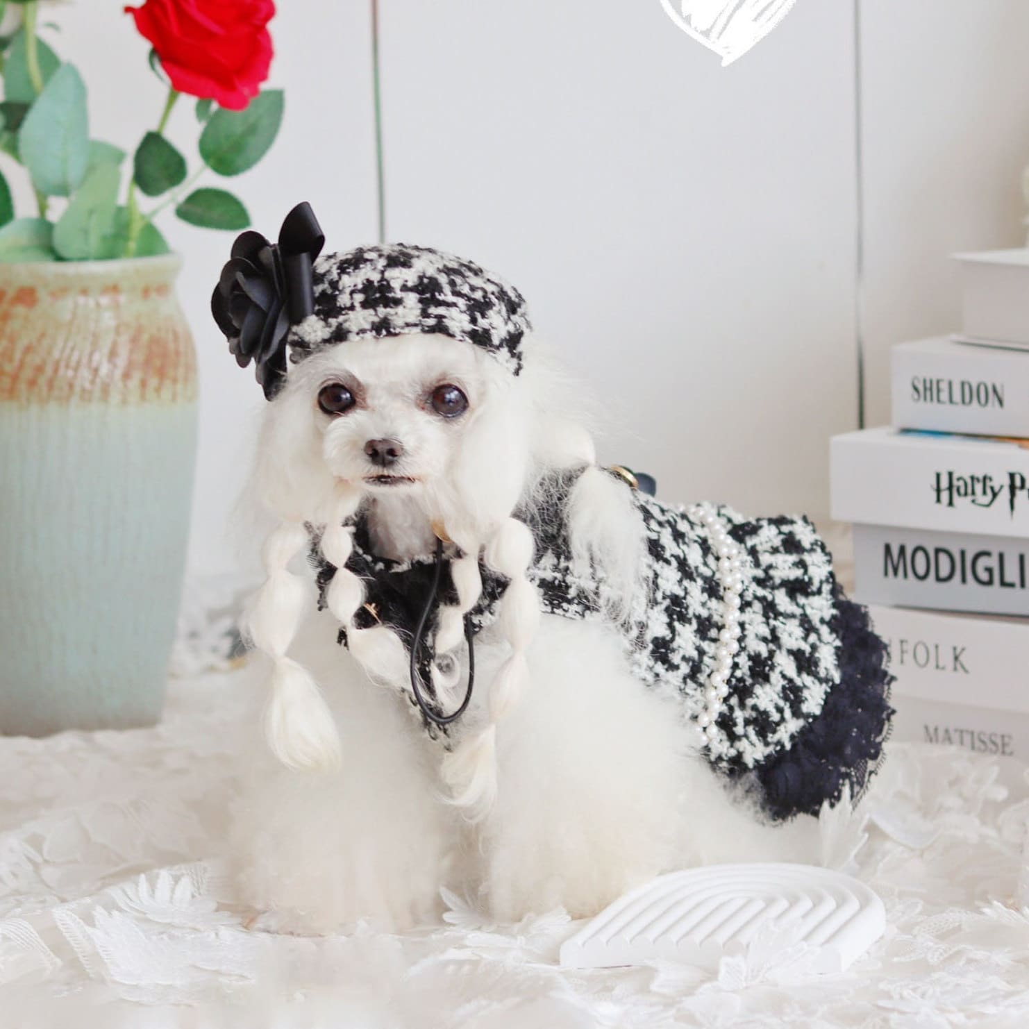 Chanel Dog Coat 