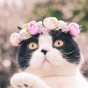 Cat Flower Collar, Dog Flower Crown Wedding, Dog Floral Headband, Pet Blossom Crown, Bridal Bride Wedding Flower Collar for Large Dogs Cats