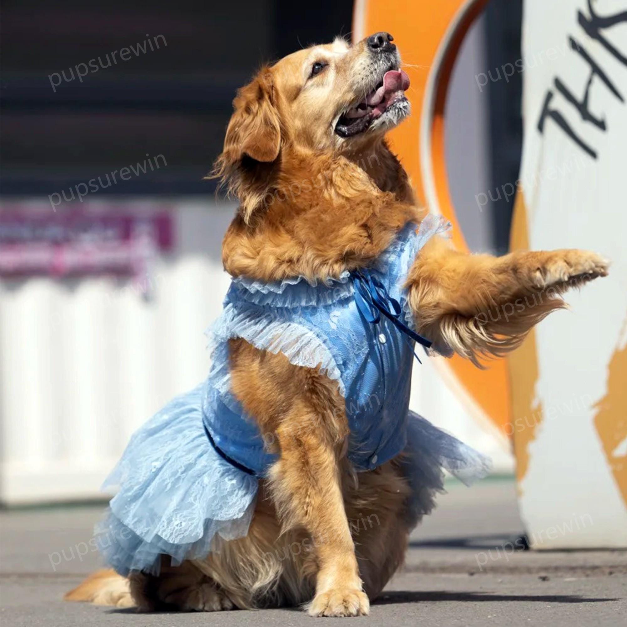 Haze Blue Dress for Dogs & Cats, Custom Dog Wedding Outfit, Lightweight  Breathable Summer Dress - Etsy