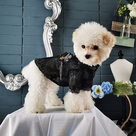 Cat And Dog Halloween Costumes 2022 Cat Dog Halloween Costume Pet Vampire Groom Dracula Cosplay Etsy India