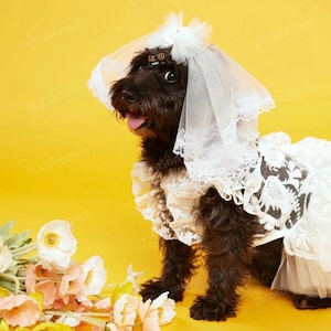 Kundenspezifisches Hundehochzeitskleid und Schleier, Sommer-weißes Spitze-Tüllkleid für große Hunde und Katzen, Brautjungfer-Kostüm Geburtstagshunde-Outfit-Haustier-Kleidung