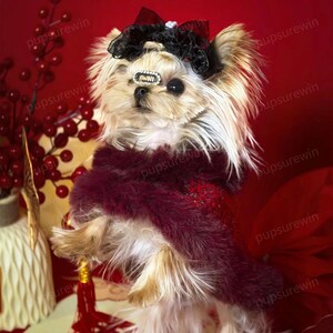 dog new years dress Amazon.com : Fitwarm Sparkly Sequin Dog Tutu Dress, Luxury Christmas Outfit for Small Dogs Girl, Holiday Pet Clothes, Gold, XS : Pet Supplies